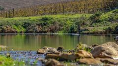 Water management SFI