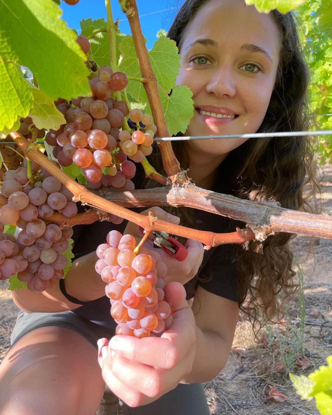 Anzette Visser with Cape Point Vineyards Sauvignon Gris
