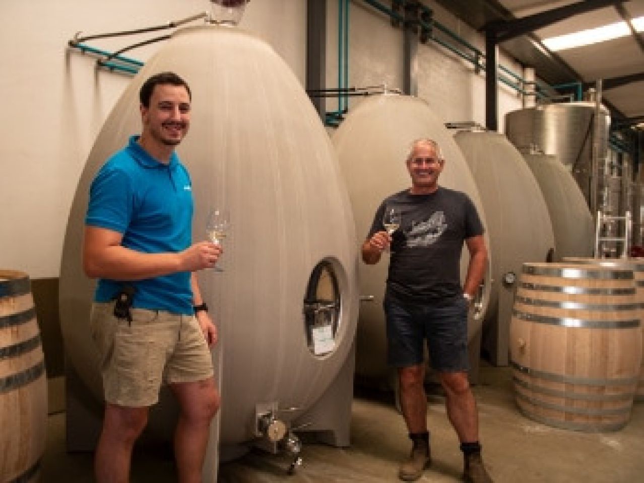 CED Edited Sauvignon Gris 2