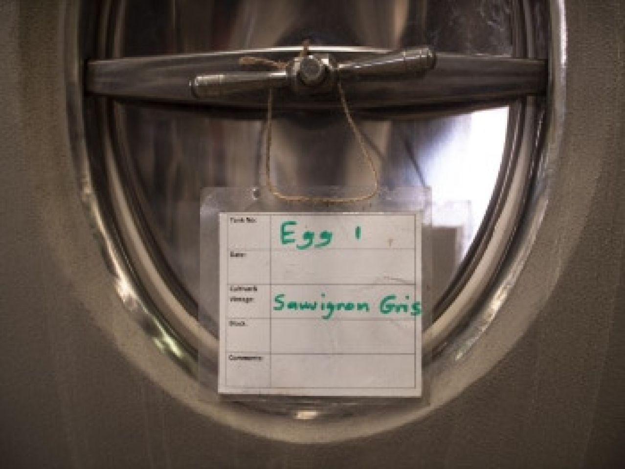 CED Edited Sauvignon Gris 3