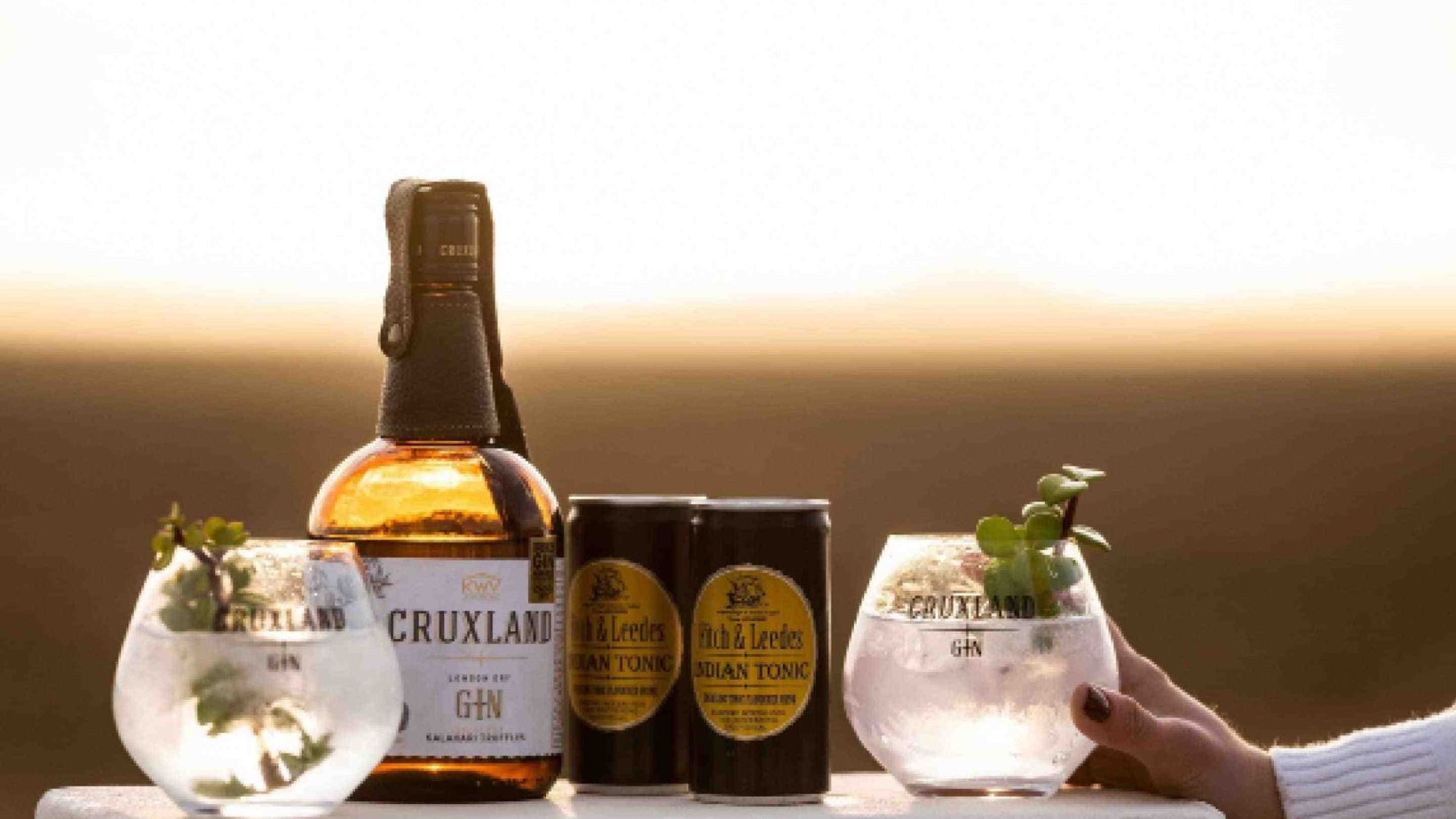 SFI GIN NEW