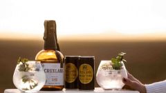 SFI GIN NEW