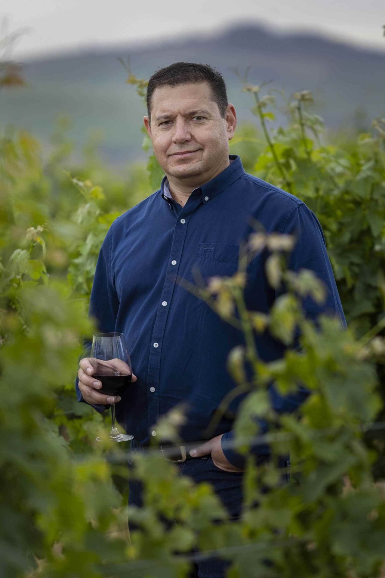 Matthew Karan AM Vineyards