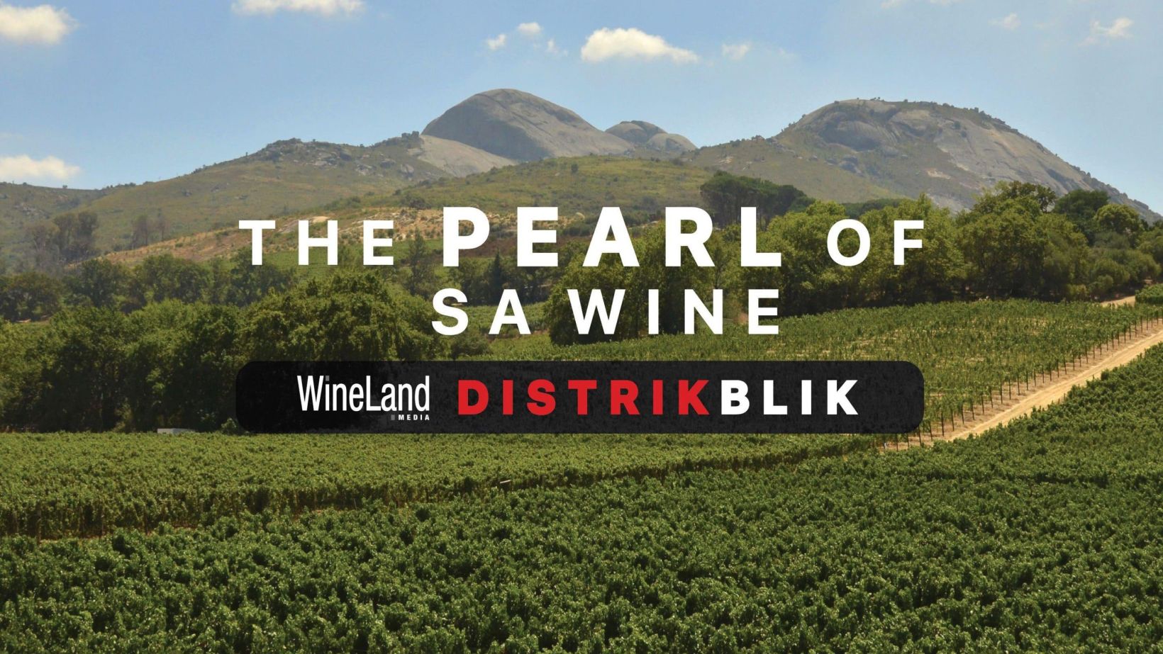Distrikblik Paarl SFI