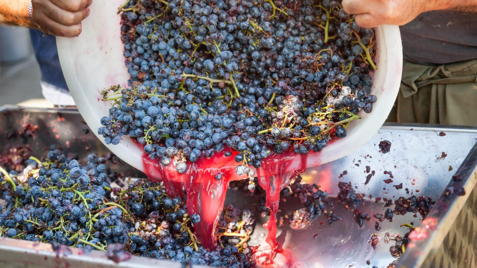 wine