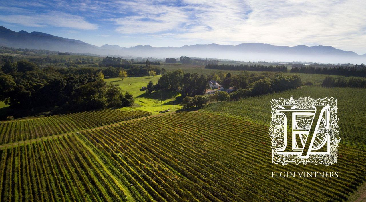 Elgin Vintners