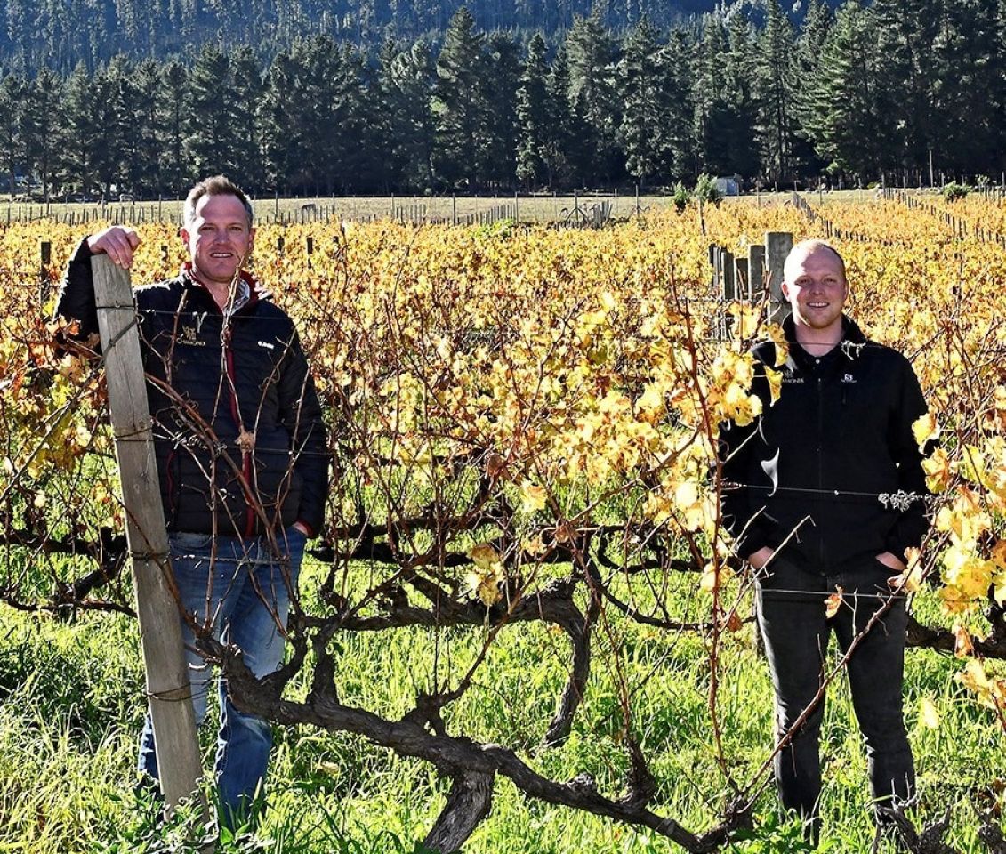 Chamonix vineyards