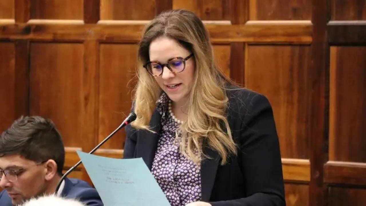 DA Chief Whip Mireille Wenger will advise DA members to apply their minds to the issue File picture
