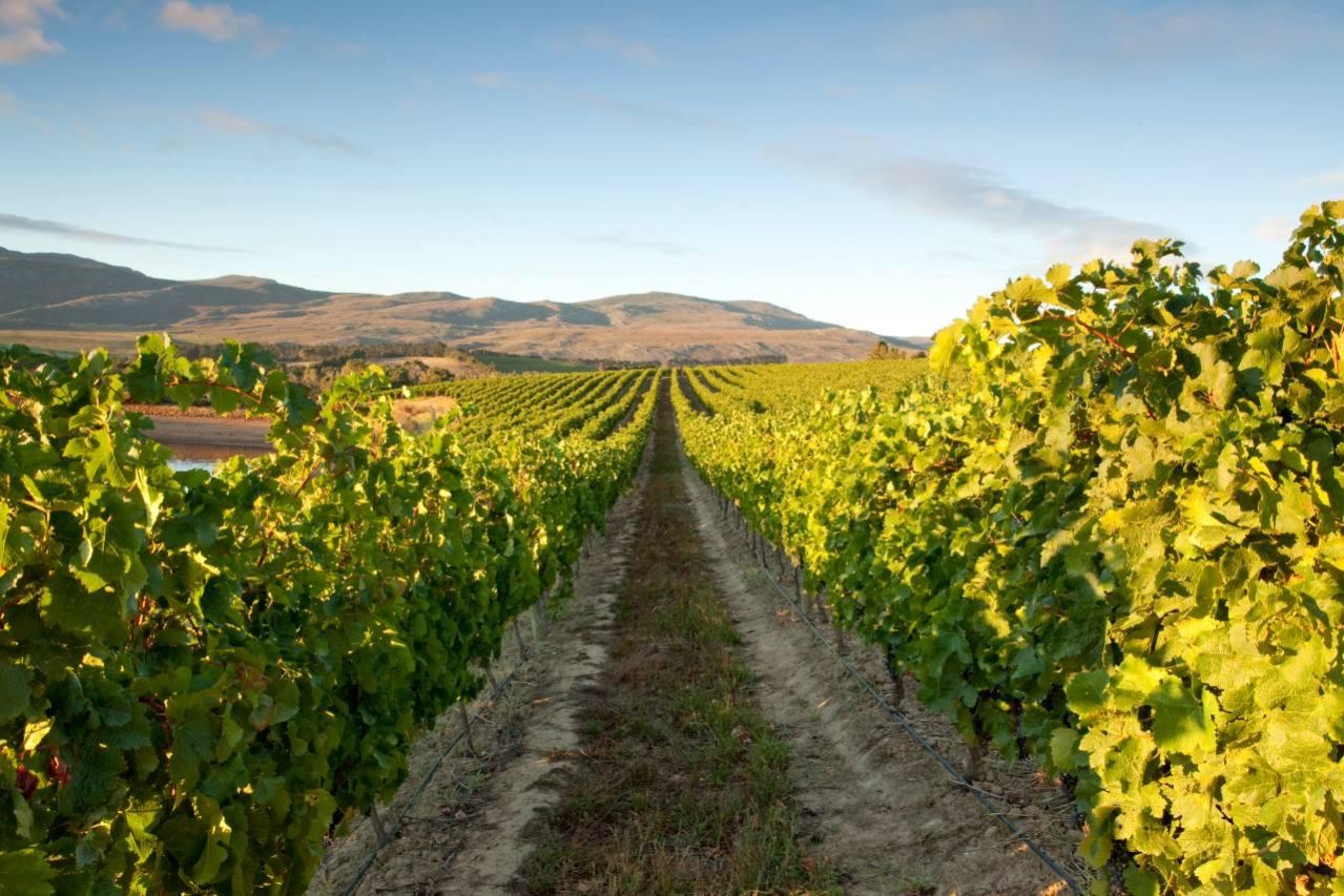 Creation Wines scaled 1