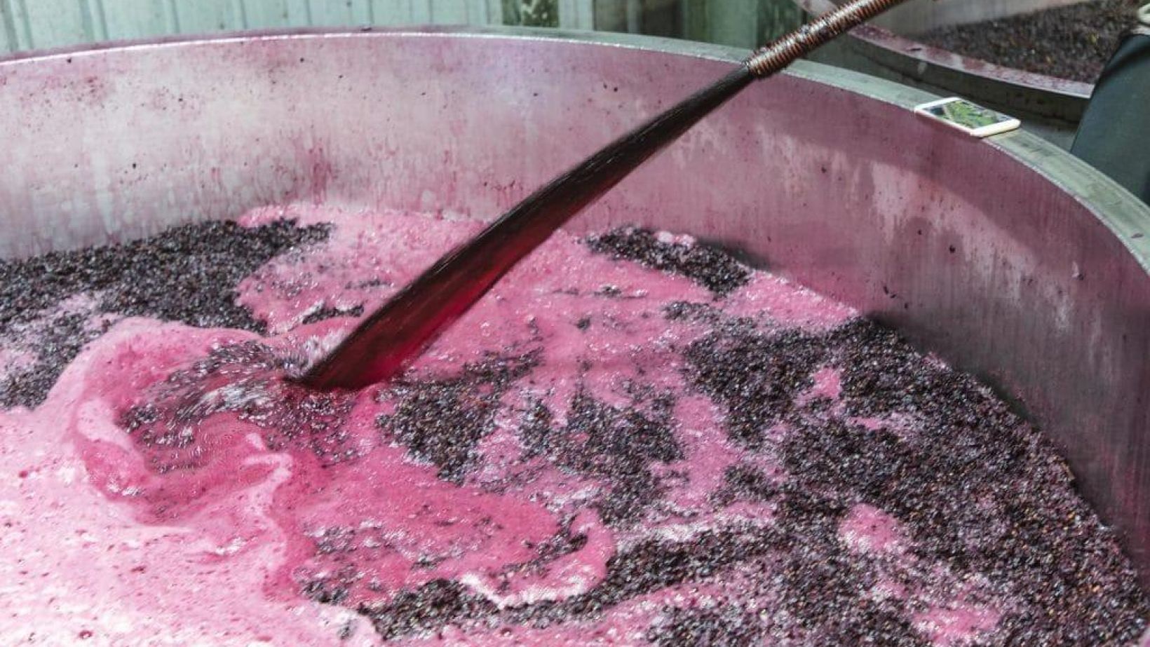 Aktueel in wingerd kelder Featured image 2