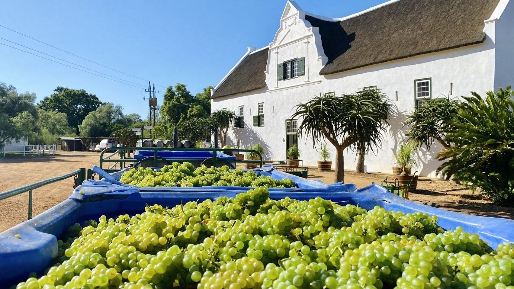 Vinpro produksieplanopname 2021 Groote Post
