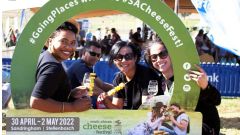 SFI cheese