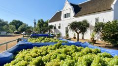 Vinpro produksieplanopname 2021 Groote Post
