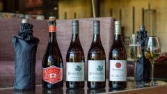 Steenberg SFI
