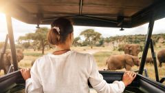 Travel SFI
