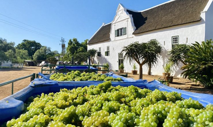Vinpro produksieplanopname 2021 Groote Post