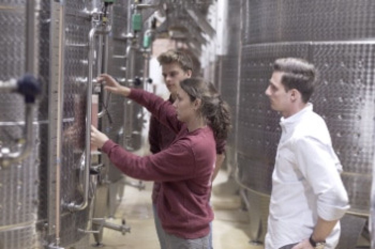 Wine Cellar Employee 350x233