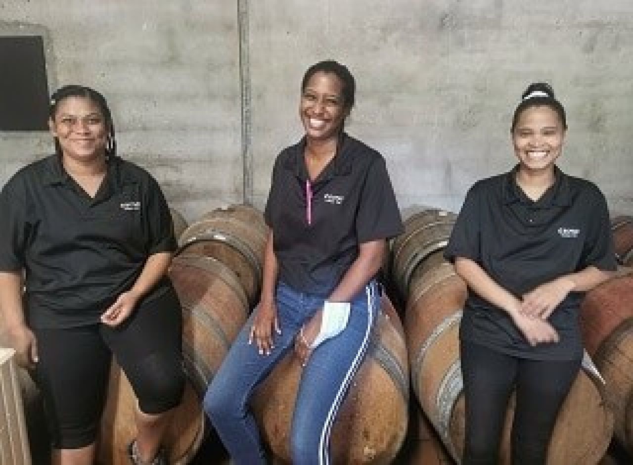 Winetech news Photo 1
