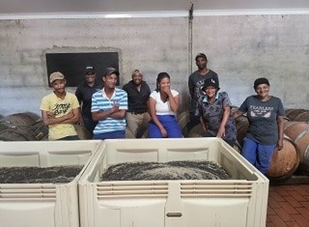 Winetech news Photo 2