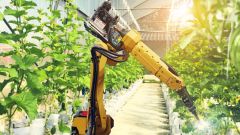 SFI innovation