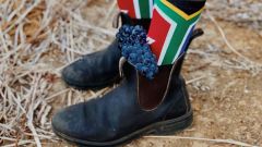 Social sa wine