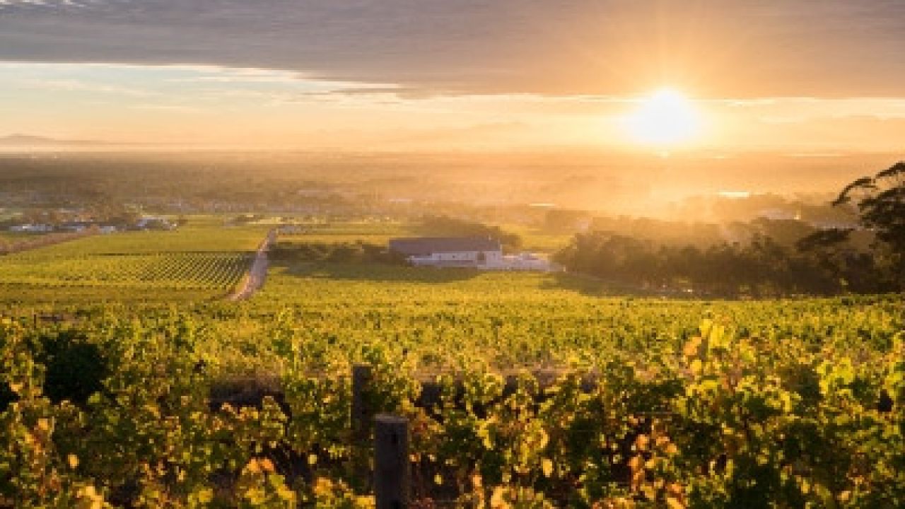 Steenberg View at Sunrise 1
