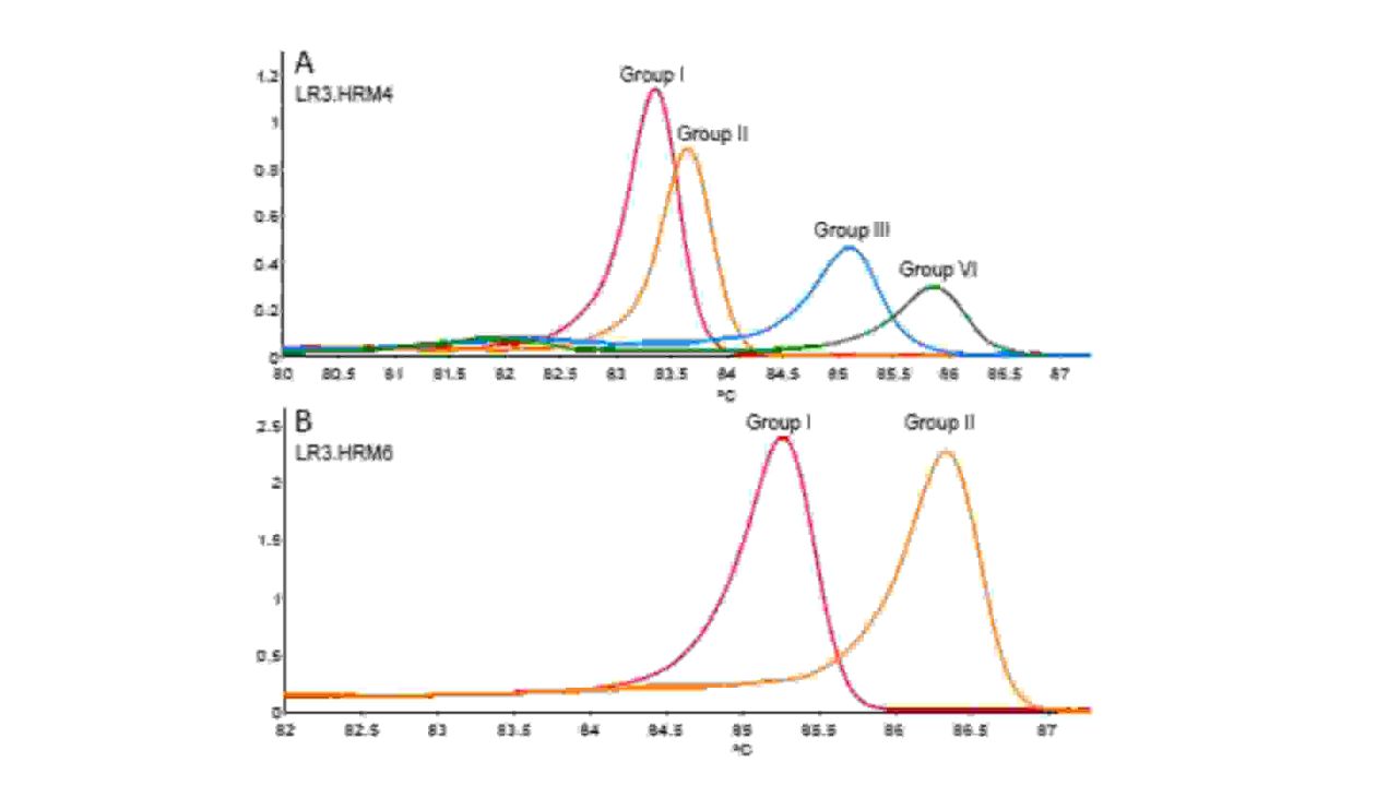 Transmission dynamics of grapevine leafroll associated virus Figure 1