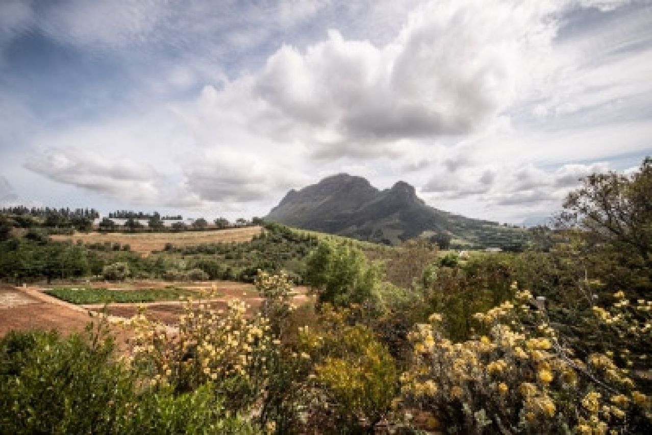 Capensis Fijnbosch Estate View
