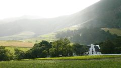 Groot Constantia