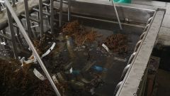 Hot water treatment Photo 1 Featured image