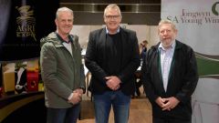 SFI sawineshow
