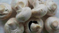 Why does my wine smell like mushrooms Intro photo