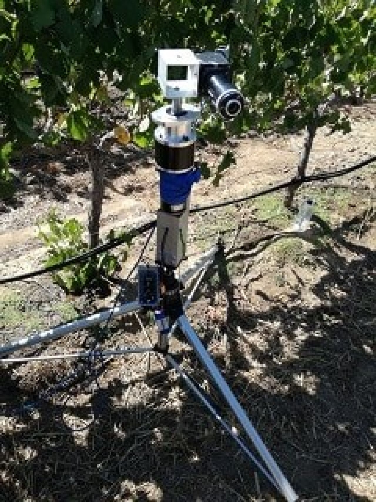 Hyperspectral answer to water stress Part 1