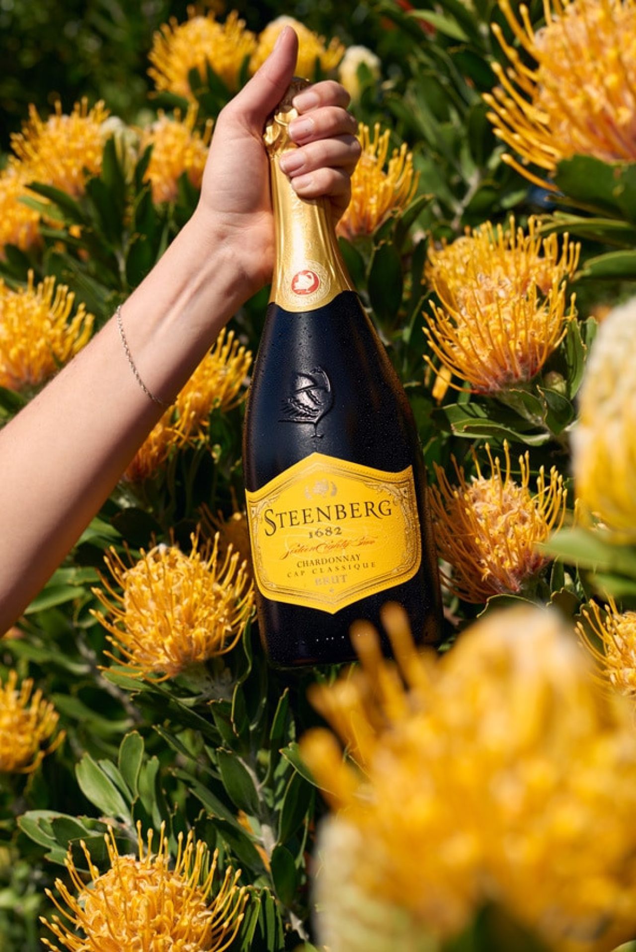 Steenberg Chardonnay 1682 Cap Classique styled LR
