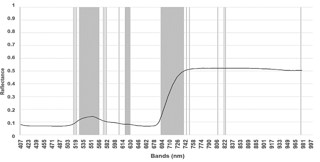 Hyperspectral answer to water stress Part 2 Figure 1