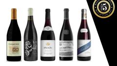 Pinot Noir SFI