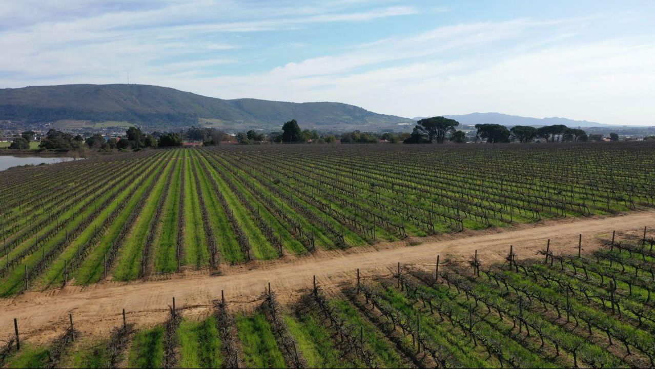 Nederburg Biochar 68