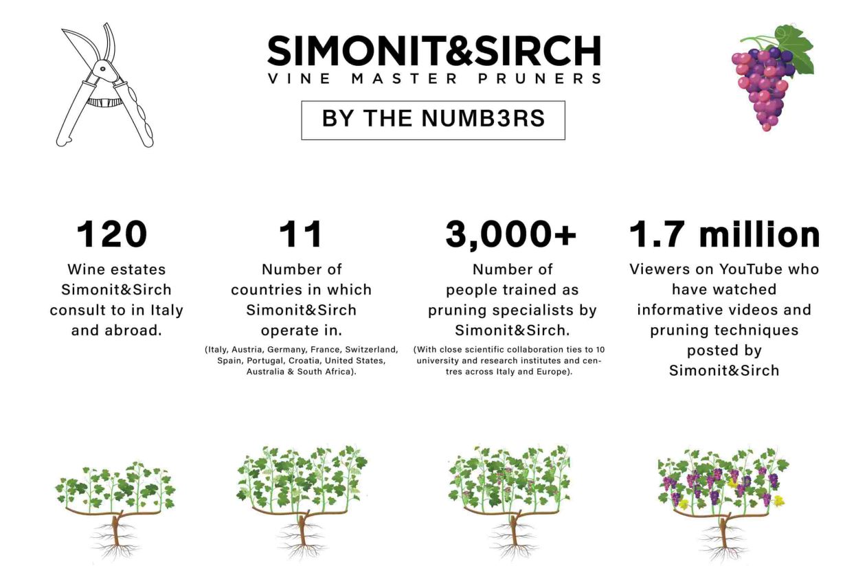 Simonit Sirch Infographic