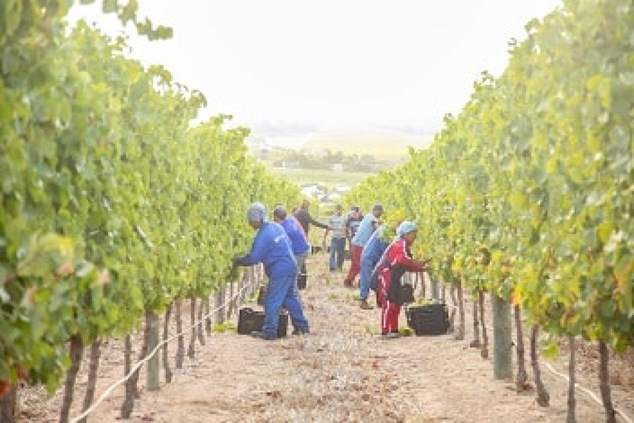 Winetech news Photo 4