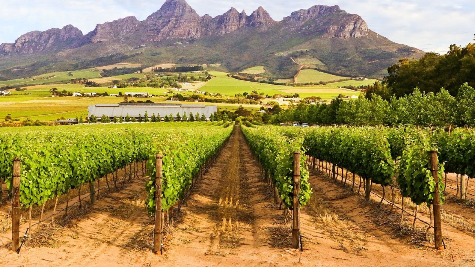 Winetech news Photo 1