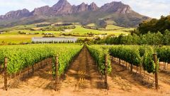 Winetech news Photo 1