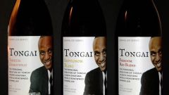 Tongai S Fi 1