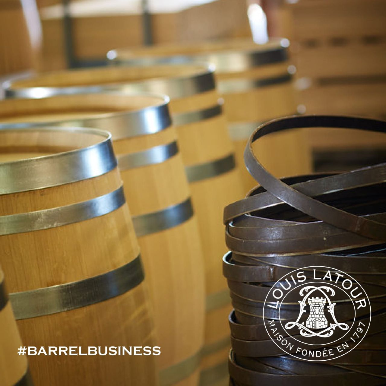 Wine Land Article Image 1