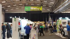 Cape Wine2022featured