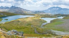High altitude vineyards Shutterstock