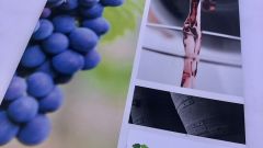 Winetech nuus 1 Foto 2