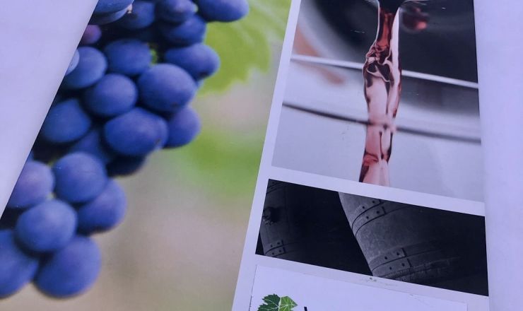 Winetech nuus 1 Foto 2