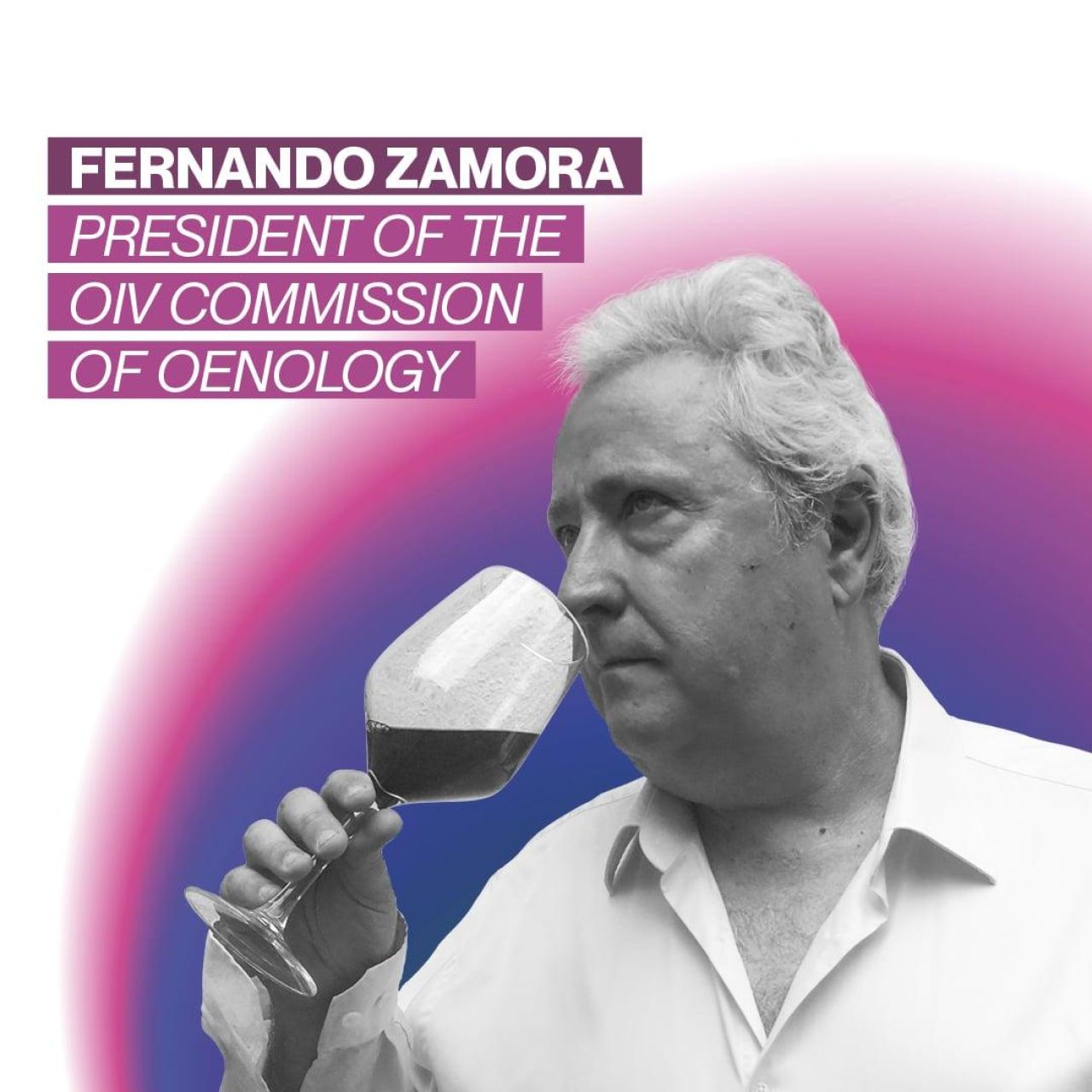 Fernando 1