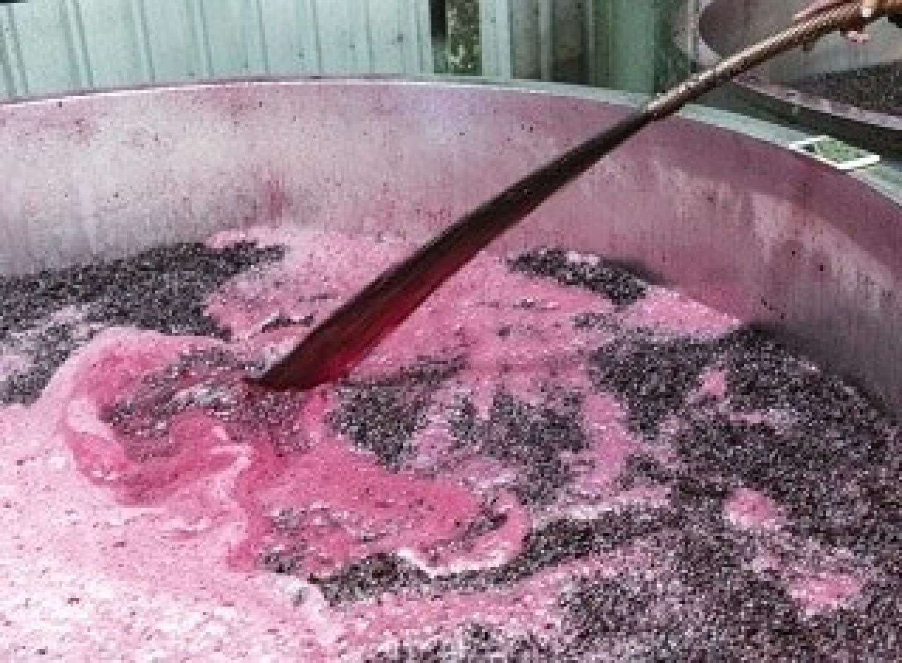 Role of thiamine in sluggish fermentations