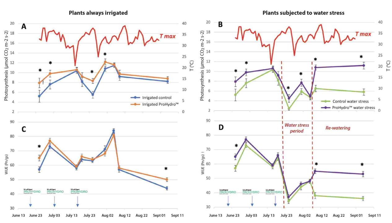 Management of vine water stress Figure 3